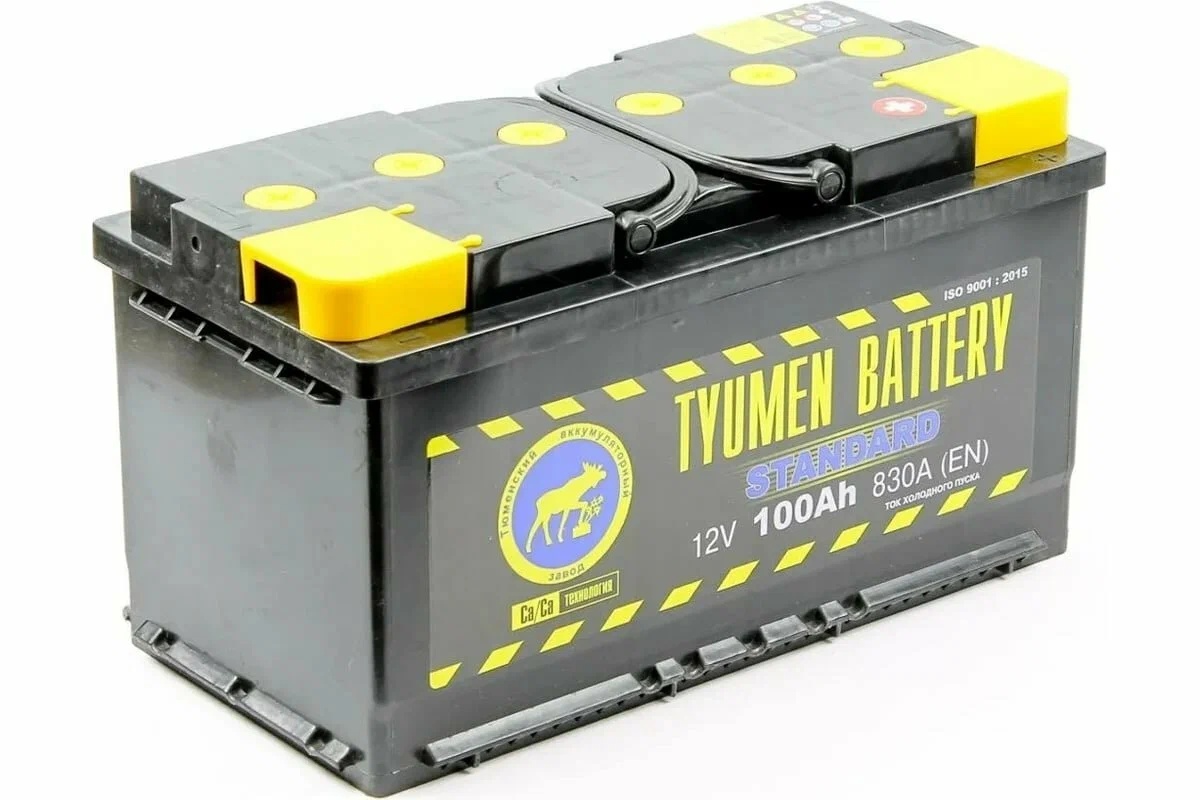 Аккумулятор TYUMEN 100 Ah 830 A battery STANDARD ОП (Ca/Ca)